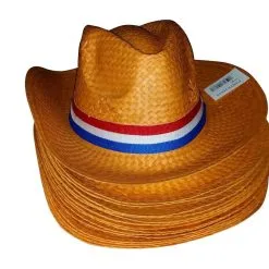 Europees Kampioenschap Hollandse Supporters Hoedje*